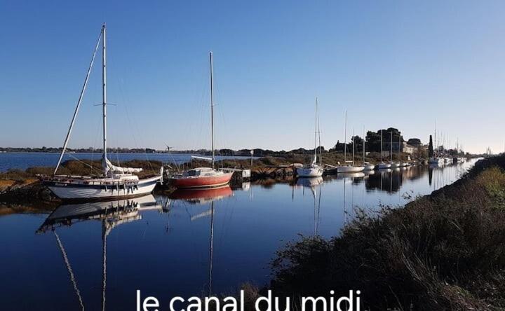 Apartment Le Corinthe - Appt Classe 3 Etoiles Et Climatise